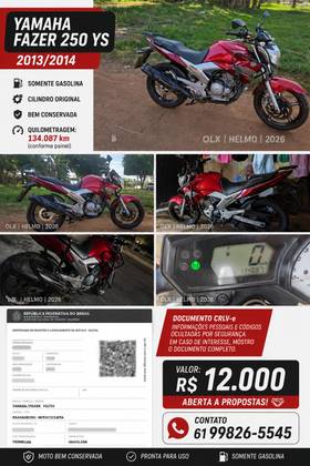 YAMAHA FAZER 250IE LIMITED EDITION 
